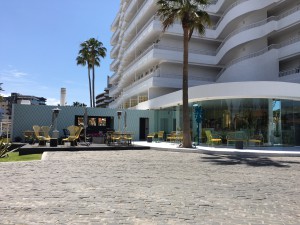 IMG_3880