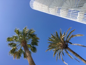 IMG_3912