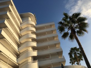 IMG_3916